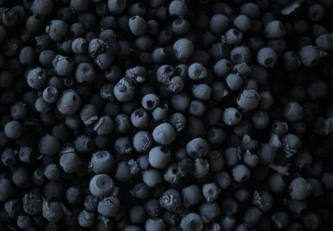 Frozen blueberries in dramatic light. Overhead view Stock Photos