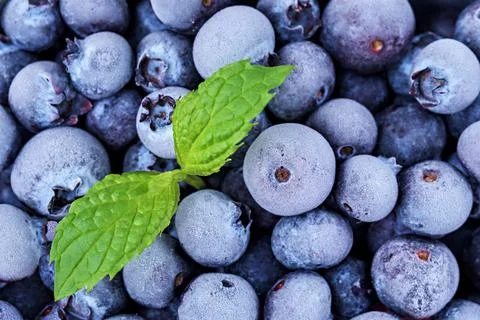Frozen blueberries with mint leaf. Foto stock
