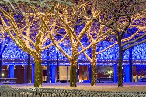 Frozen Boston Trees Foto stock