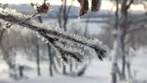Frozen branch covered by small ice pieces Vídeo Stock 151652537