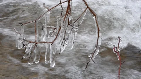 Frozen branch in river, Spain Stock Footage 170856219