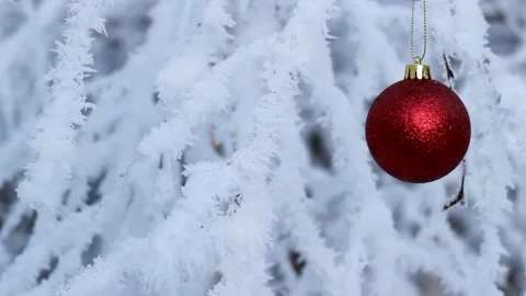 Frozen branches, Christmas ball Stock Footage 150640207