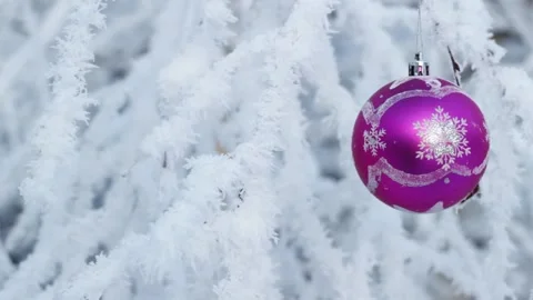 Frozen branches, Christmas ball Stock Footage 150640270