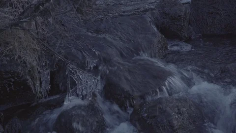 Frozen Branches at a lake Stock Footage 86253864