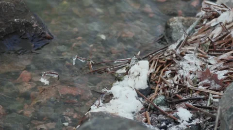 Frozen Branches in Water, Rocks Stock-Footage 33691995