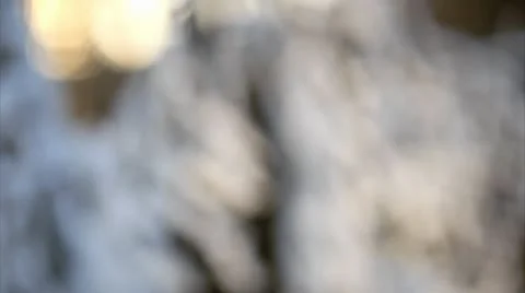 Frozen branches in the winter sunset light Stock Footage 10595348