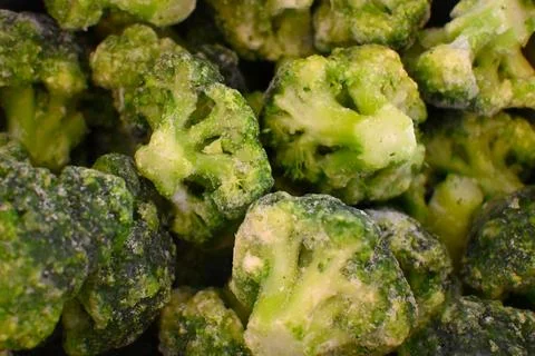 Frozen broccoli florets close-up 스톡 사진