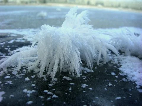 Frozen brook Stock Photos