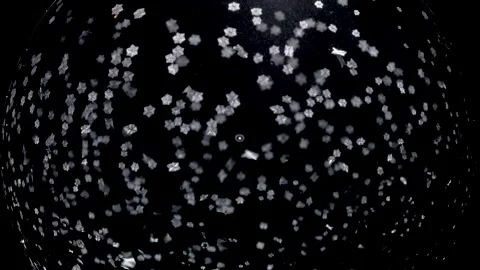 Frozen Bubble in Macro High Detail Stock Footage 182894349