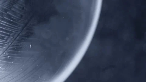 Frozen bubble winter holidays background Stock Footage 100554778