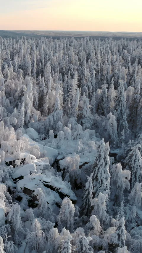 Frozen Canyon Panorama. Distant Arctic Chasm With Twisting Frozen Brook And Stock Footage 346046890