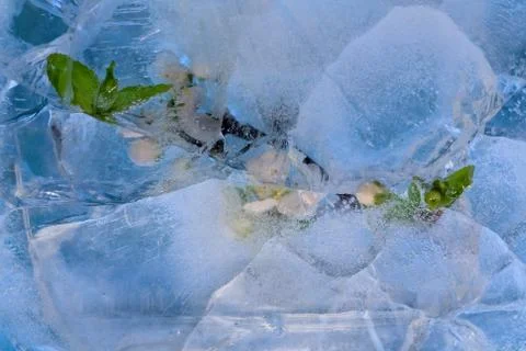 Frozen     cherry flower Stock Photos