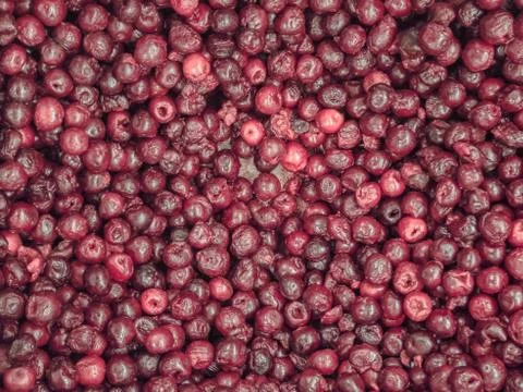 Frozen cherry in the refrigerator in the store Stock Photos