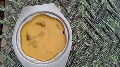 Frozen Chicken Curry Top View Camera Traditional Home Storage Bowl Stock-Footage 347846895
