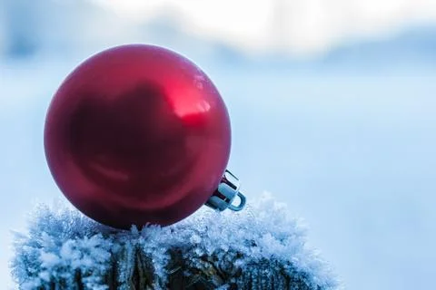 Frozen christmas Stock Photos