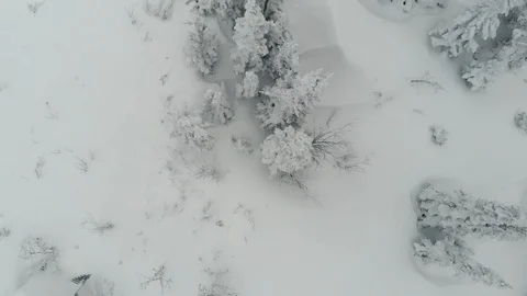 Frozen christmas tree top view. aerial video Stock Footage 98985904