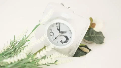 Frozen Clock with flowers Stock Footage 234451168