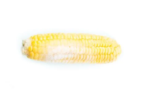 Frozen cob of corn. Isolated. Horizontal view Stock Photos