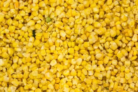 Frozen corn yellow background Stock Photos