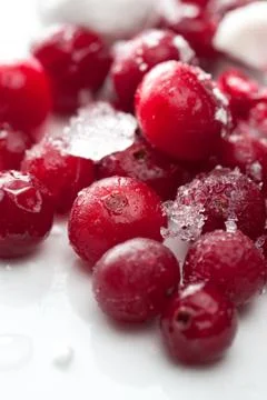 Frozen cranberries closeup Stock Photos