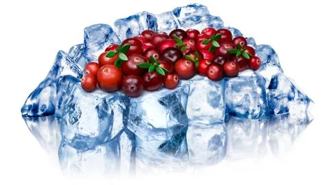 Frozen cranberries isolated Stock Photos