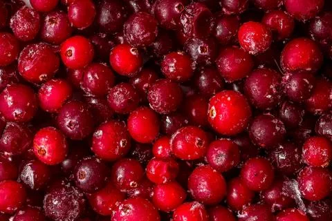 Frozen cranberry texture Stock Photos