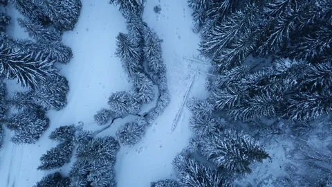 Frozen Creek Bed Stock Footage 125051100