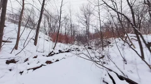 Frozen creek in cold winter forest setting Stock Footage 323339510