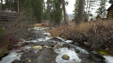 Frozen creek flowing downstream through National Forest Land Stock Footage 326245972