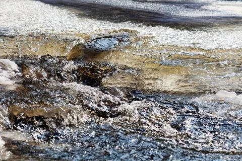 Frozen creek Stock Photos