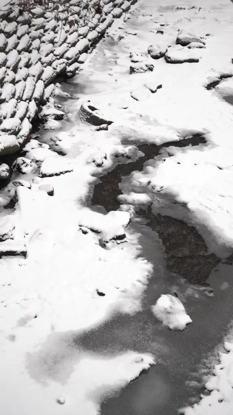 Frozen Creek with Running Water Stock Footage 296646286