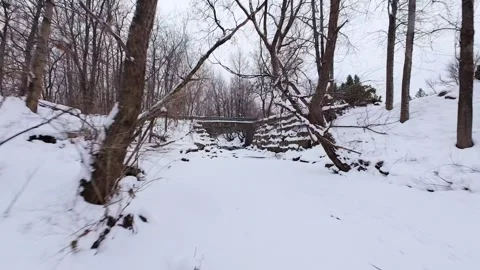 Frozen creek surrounded by bare trees Stock Footage 323338742