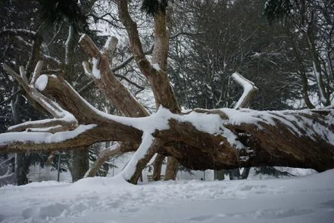 Frozen dancer Stock Photos