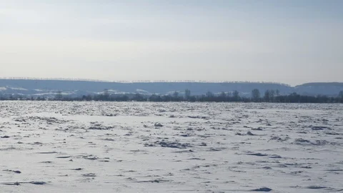 Frozen desert Cold Winter Snow trees Stock Footage 128318715