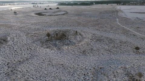 Frozen Desert Scenery, Chilly Dune With Shrubs View, Frostcovered Sands With Stock Footage 327052132