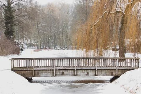 Frozen ditch in wintertime Foto stock