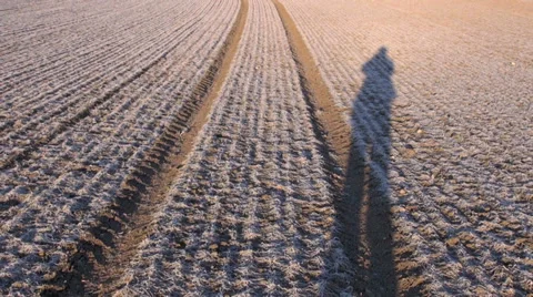 Frozen early spring  crop field and farmer shadow Stock Footage 38456959