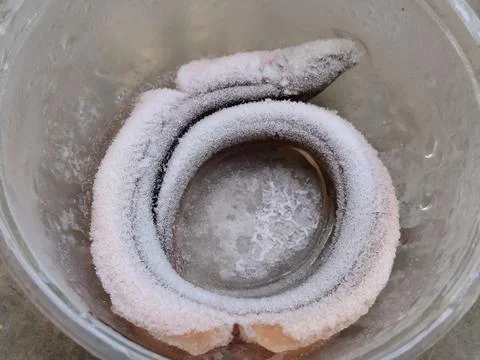 Frozen eel, carefully cleaned and flash-frozen to preserve freshness, texture, a Fotos de archivo