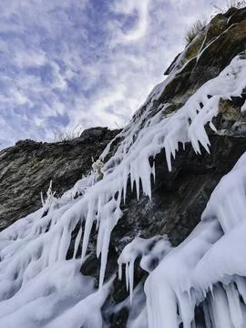 Frozen Elegance Foto stock