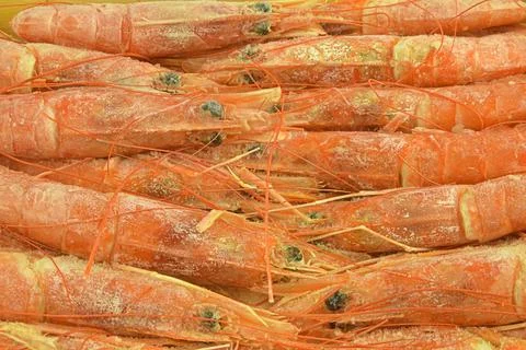 Frozen extra large tiger prawns served on ice. Top view. Close-up Stock-Fotos