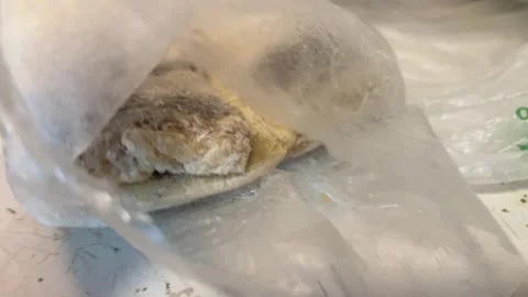 Frozen Fermented Fish in Plastic Bag 스톡 동영상 325045845