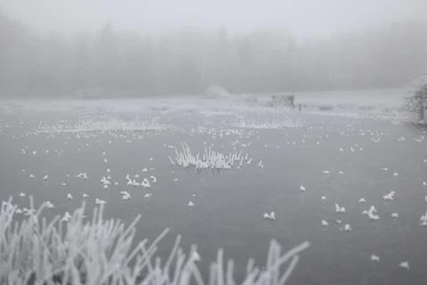 Frozen field Photos