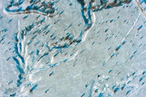Frozen field with sparse bushes and blue shadows on textured snow surface in Stock Photos