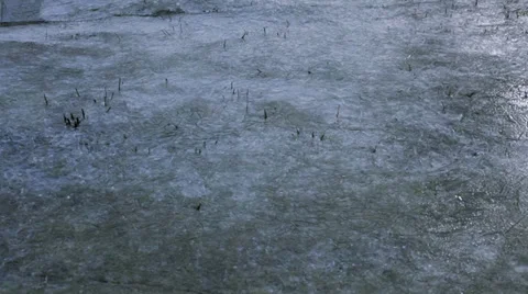 Frozen field - steadicam shot Stock Footage 35824364