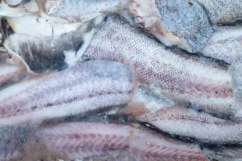 Frozen fish background Stock Photos