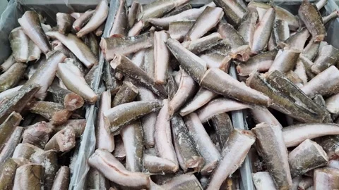 Frozen fish carcasses in a freezer close-up Stock Footage 305277160