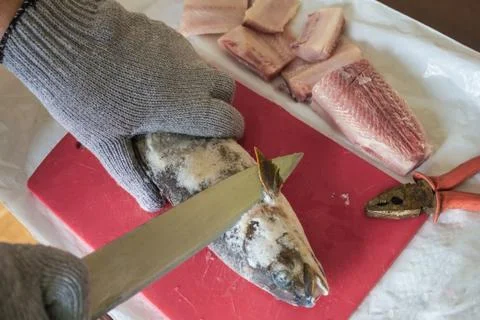 Frozen fish on a cutting board. Stock Photos