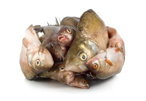 Frozen fish isolated Stock Photos