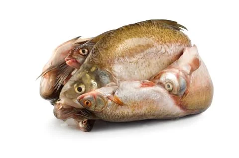 Frozen fish Stock Photos