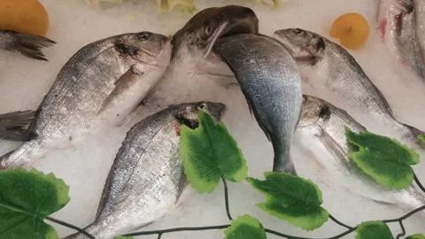 Frozen fish Foto stock